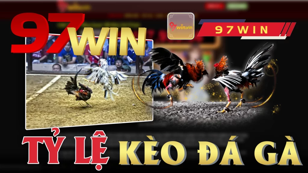 Tỷ lệ kèo đá gà